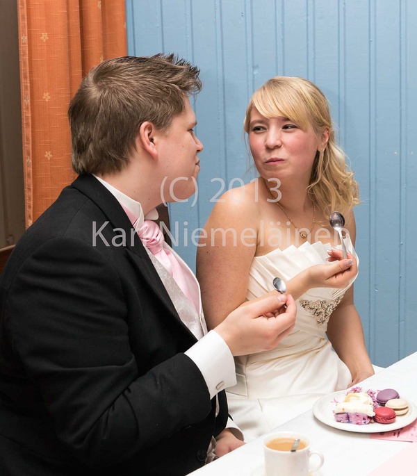 Tmi Kari Niemeläinen